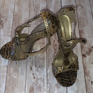 Snake Skin Shoes
